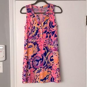 Barely worn Lilly dress